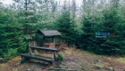 Лес Доуби в Карловых Варах
